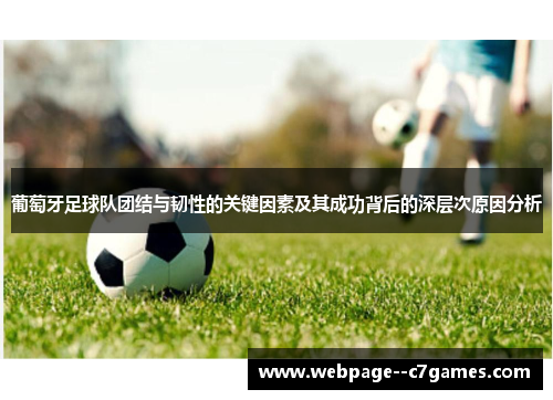 葡萄牙足球队团结与韧性的关键因素及其成功背后的深层次原因分析