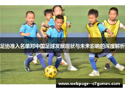 足协准入名单对中国足球发展现状与未来影响的深度解析